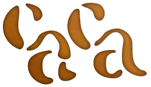Logo Caca