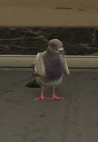 a_c_pigeon