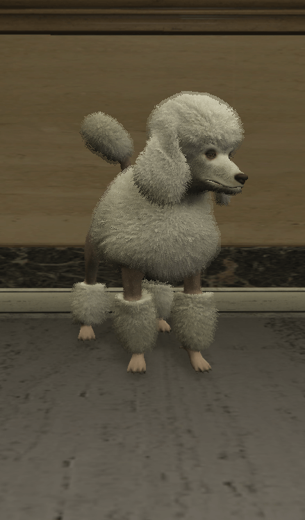 a_c_poodle
