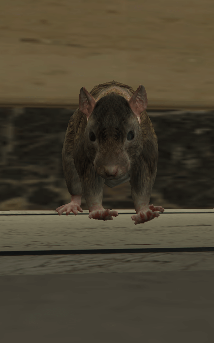 a_c_rat