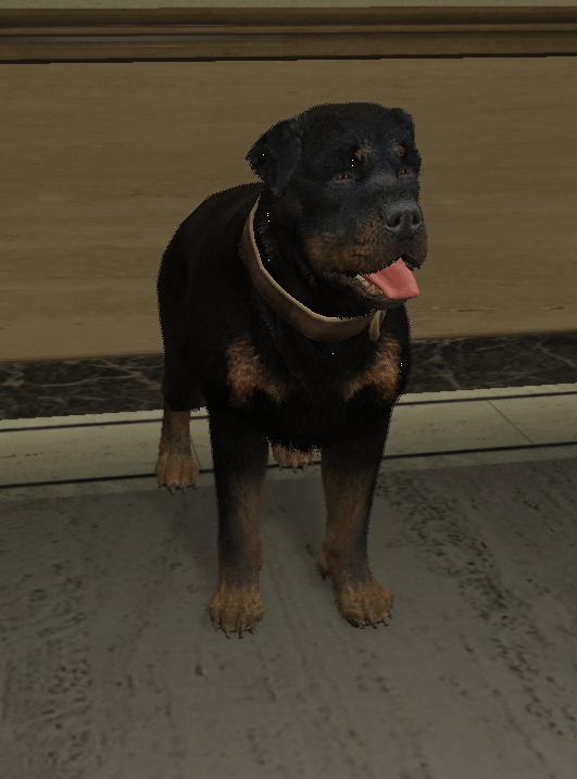 a_c_rottweiler